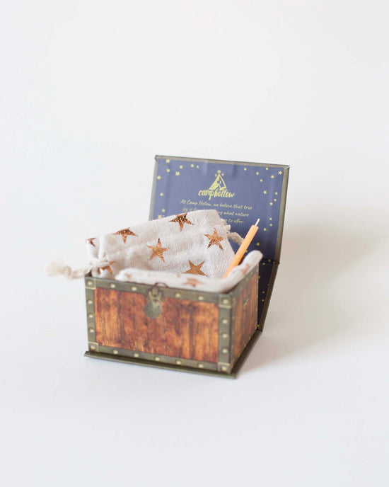 Little camp hollow paper + party goose cake topper in box