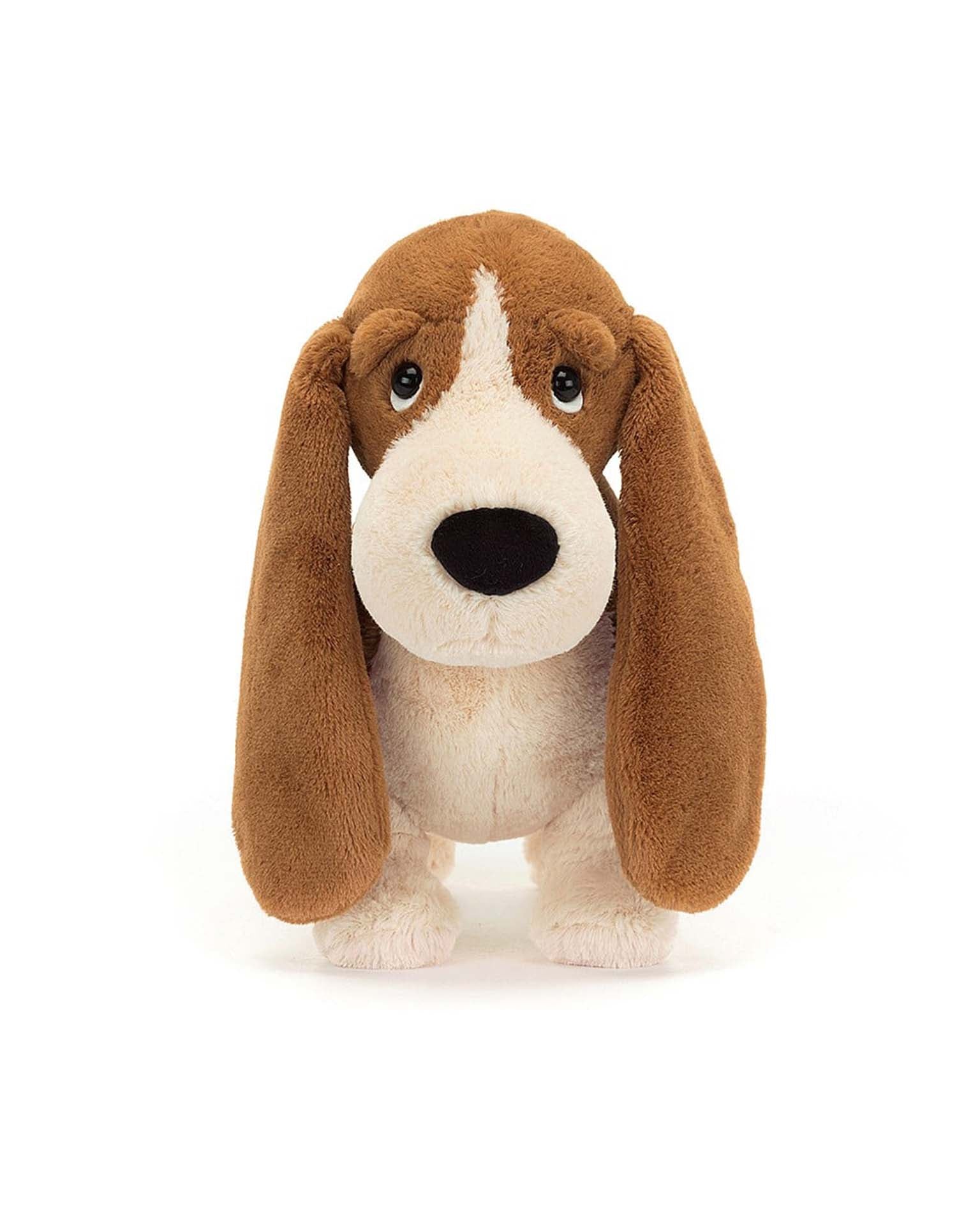 randall basset hound – Little