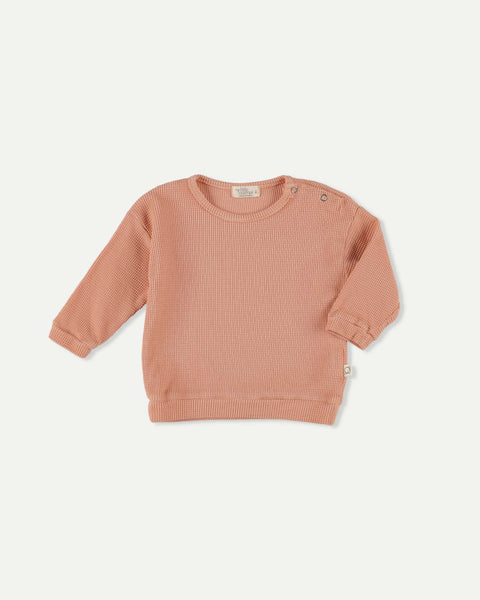 gavin sweatshirt in pink – Little