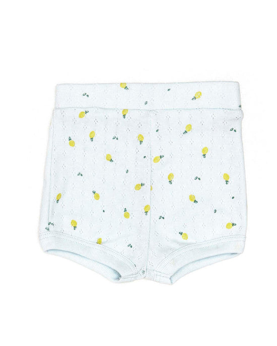 Little tun tun baby pointelle short in light blue lemons